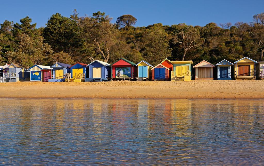 Bayplay Beach Cottage - Pet Friendly Queenscliff Rum bild